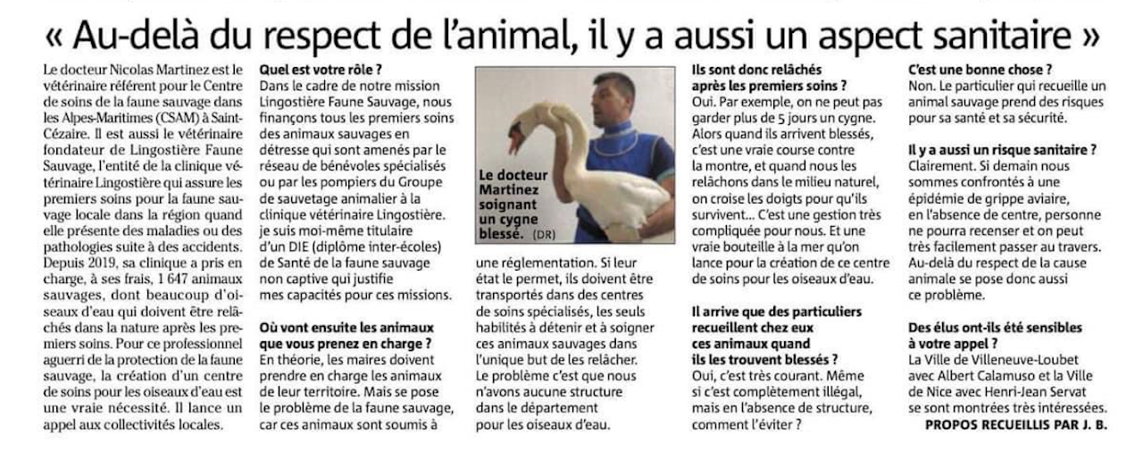 Interview Nice Matin du Dr Nicolas MARTINEZ vétérinaire à Nice sur le sauvetage de la faune sauvage