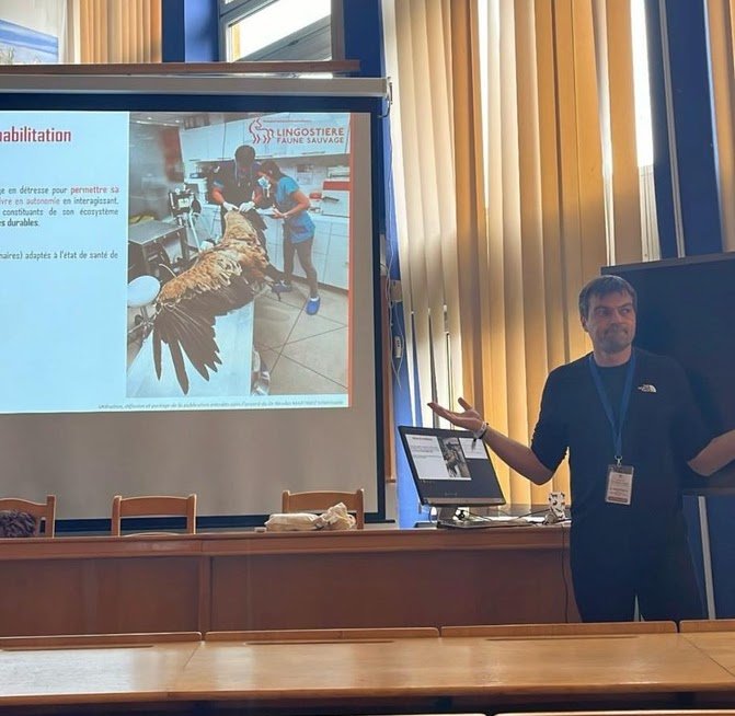 Dr Nicolas MARTINEZ formateur pour les étudiants vétérinaires à Cluj-Napoca sur les soins à la faune sauvage