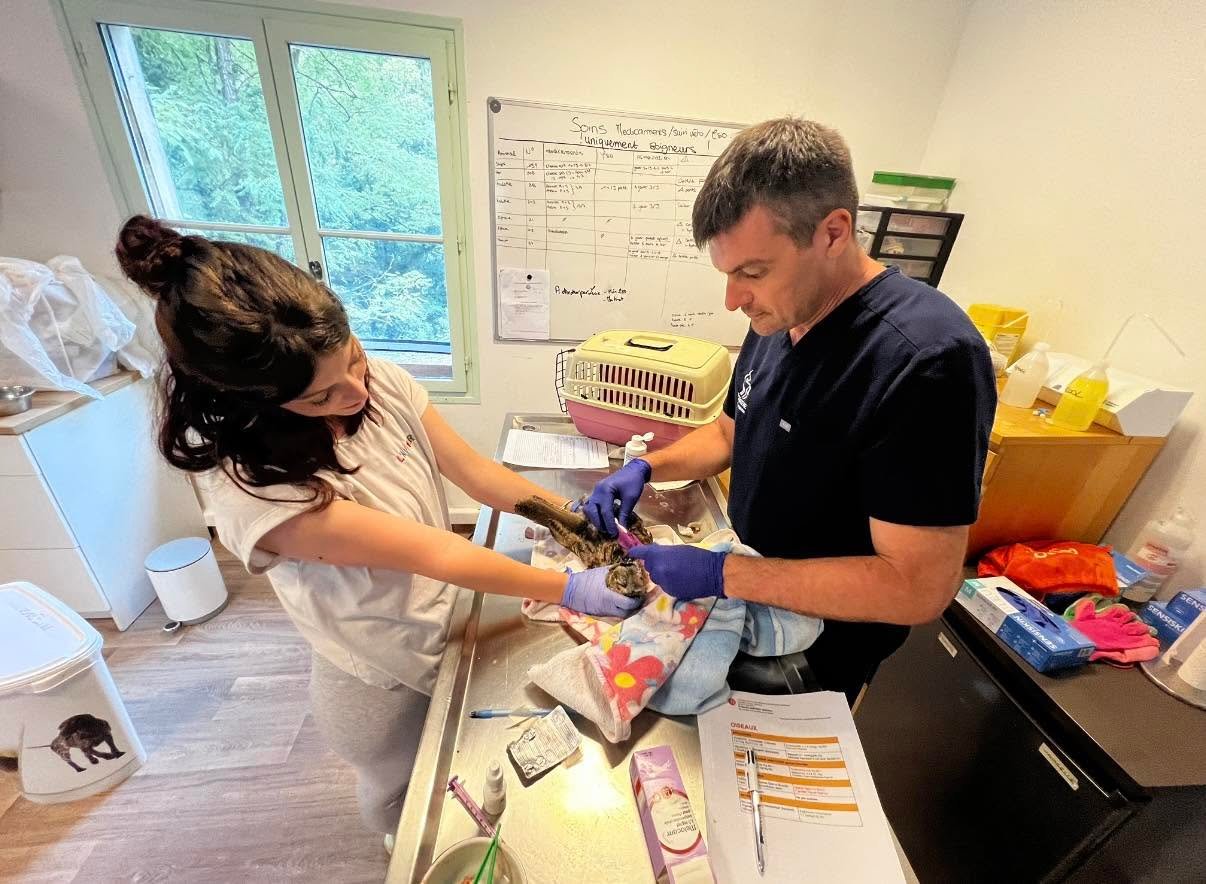 Dr Nicolas MARTINEZ, vétérinaire à Nice, et Lucie de SOS Faune Sauvage - Instinct Animal