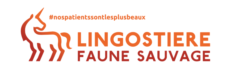 Lingostière Faune Sauvage