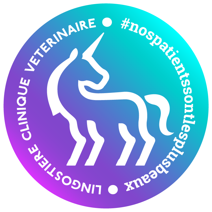 Logo Lingostière Clinique Vétérinaire Nice