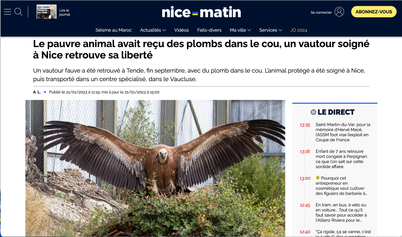 Coupure de presse journal Nice-Matin : Relâché du Vautour fauve soigné après avoir été victime de tirs de plombs